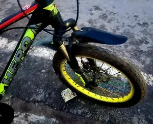 Hero 20 Size Disk Brake Cycle