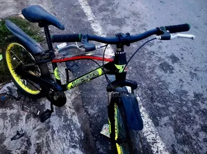 Hero 20 Size Disk Brake Cycle