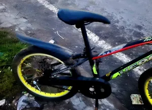 Hero 20 Size Disk Brake Cycle