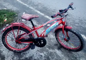 Hero 20 Size Reconditioned Baby Cycle