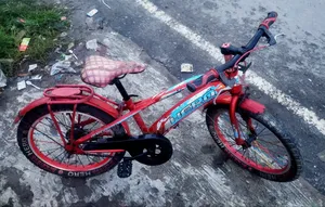Hero 20 Size Reconditioned Baby Cycle