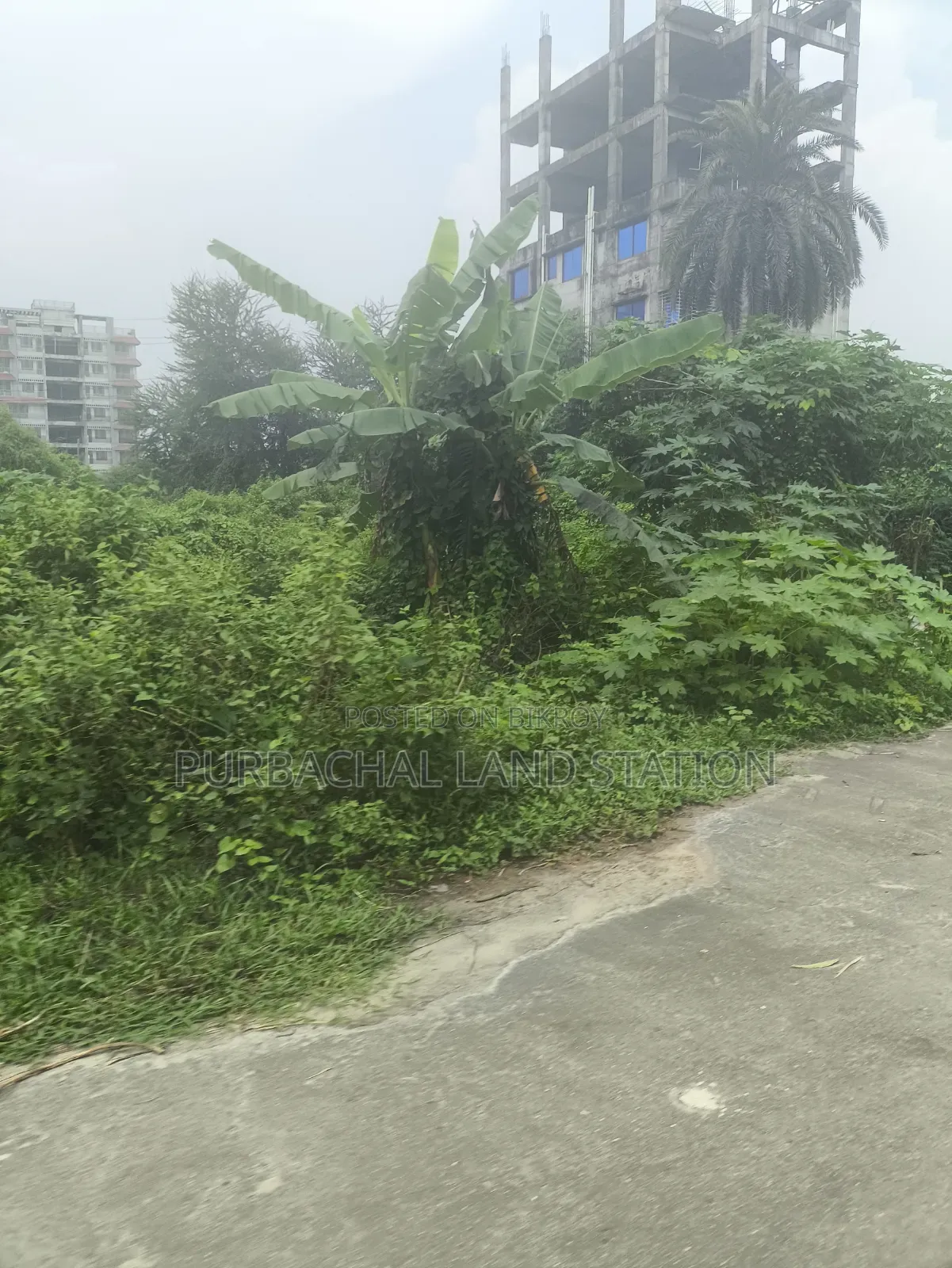 South Face Prime Location 3 Katha Plot Sale in Sector:8, Purbachal