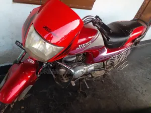 Hero Passion Pro 2012 Red