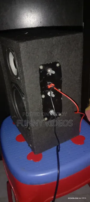 Custom Speaker