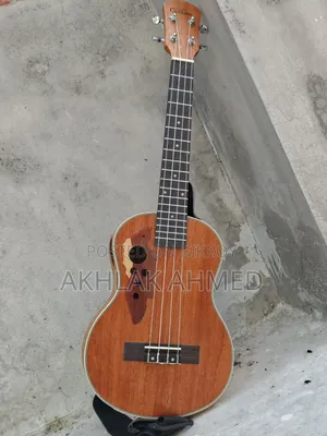 Musical Instruments & Guitar