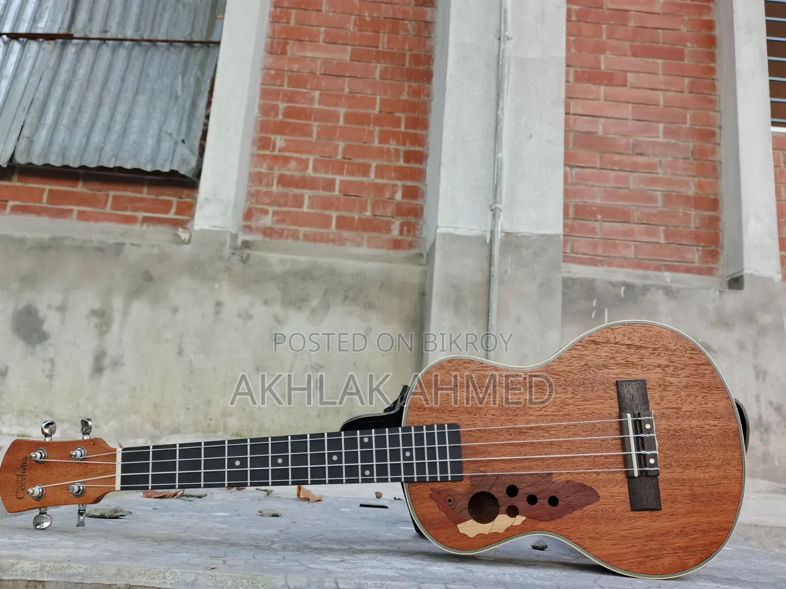 Musical Instruments & Guitar