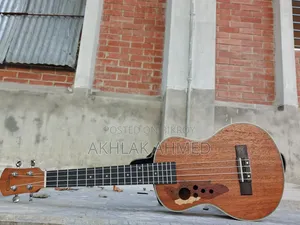Musical Instruments & Guitar