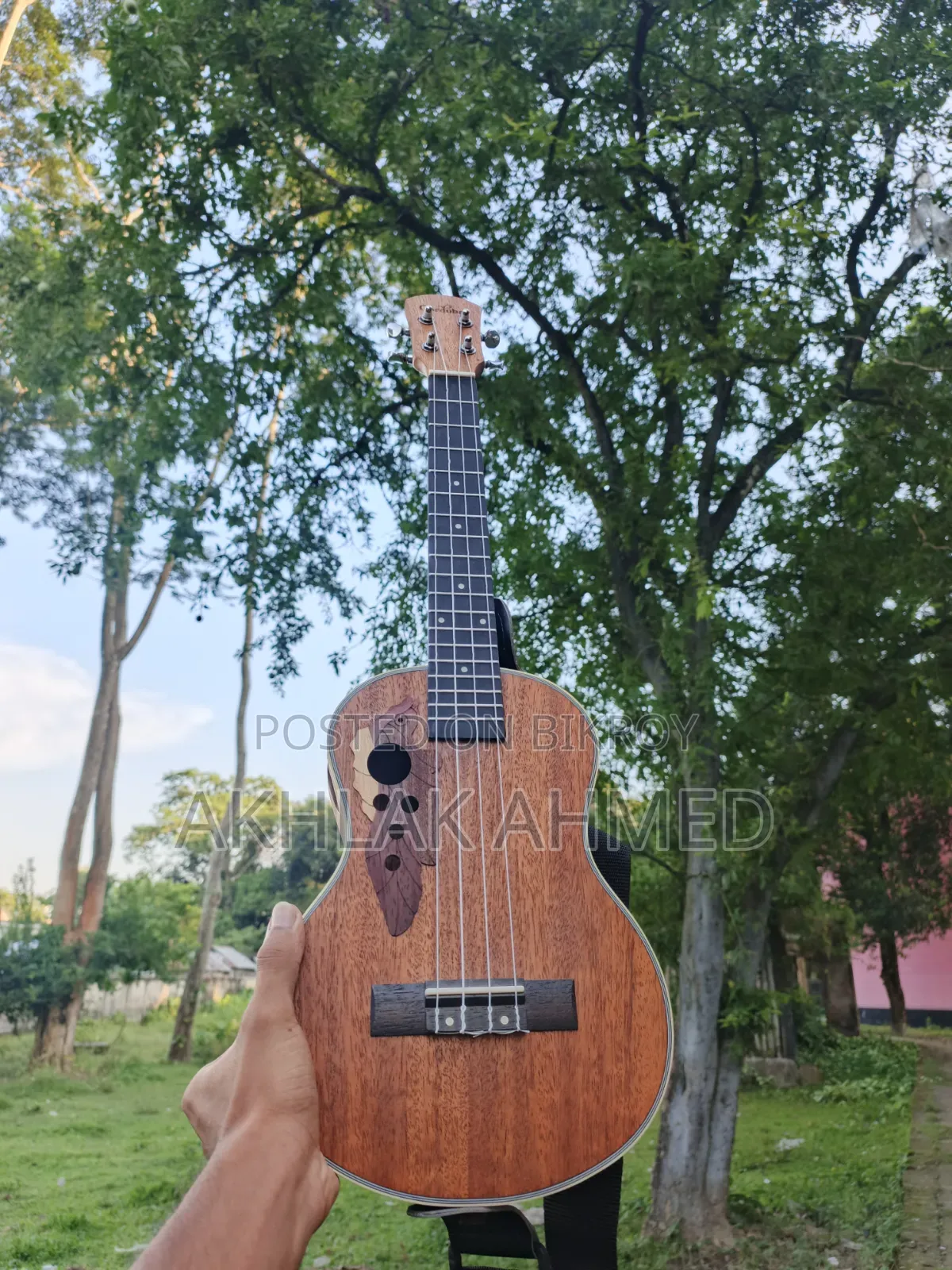 Musical Instruments & Guitar