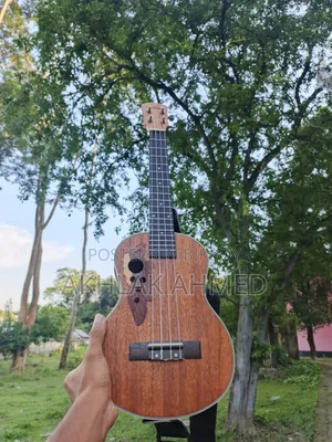 Musical Instruments & Guitar