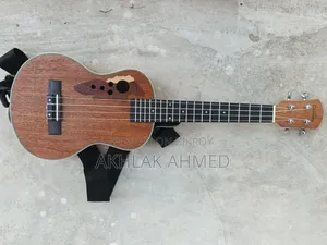 Musical Instruments & Guitar