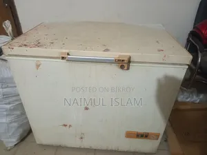ডিপ ফ্রিজ