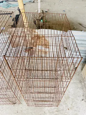 1 Cage 18*10*24 with Tray