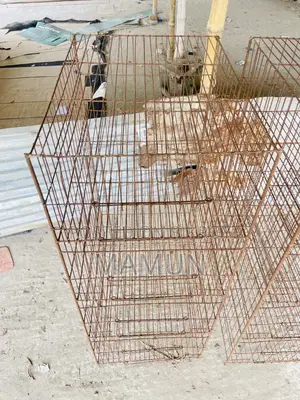 1 Cage 18*10*24 with Tray