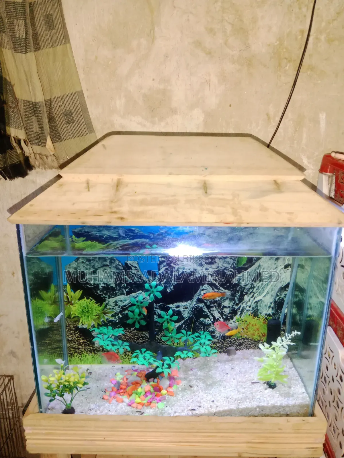 Aquarium for Sale — Urgent Need