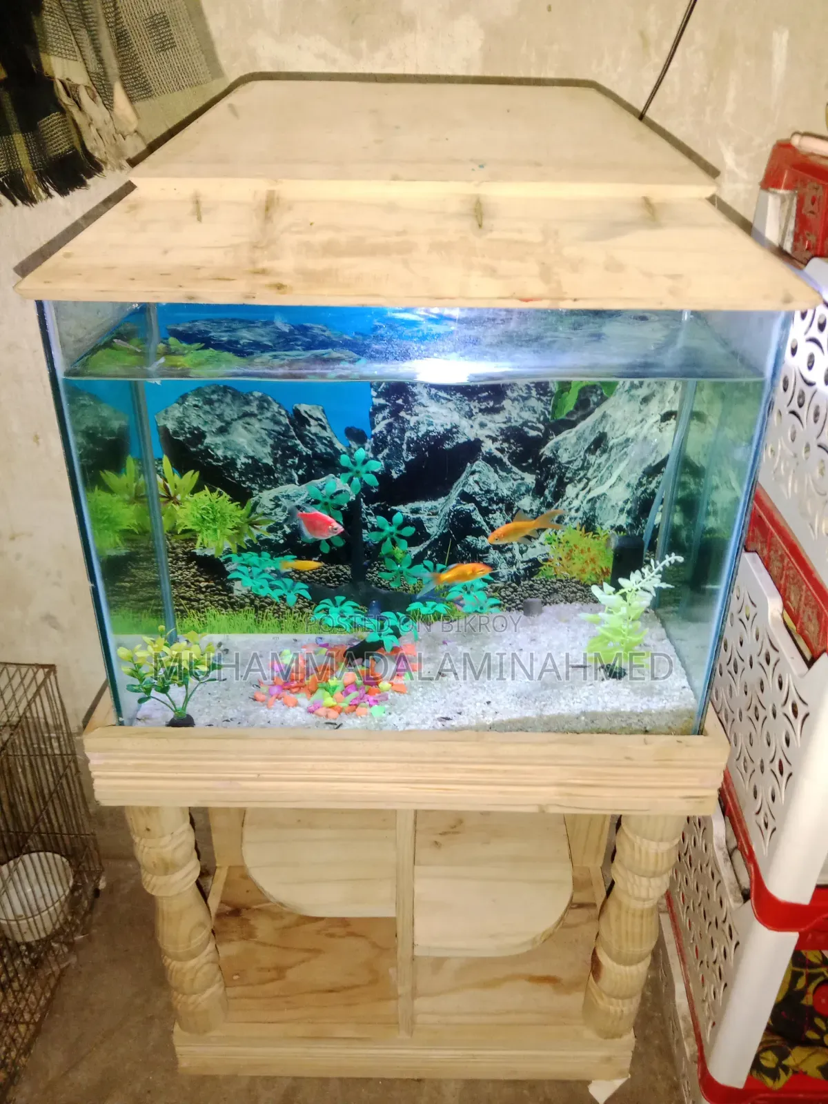 Aquarium for Sale — Urgent Need