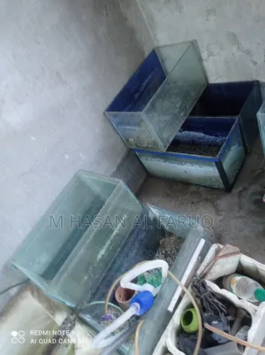 Aquarium Items