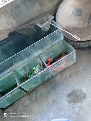 Aquarium Items
