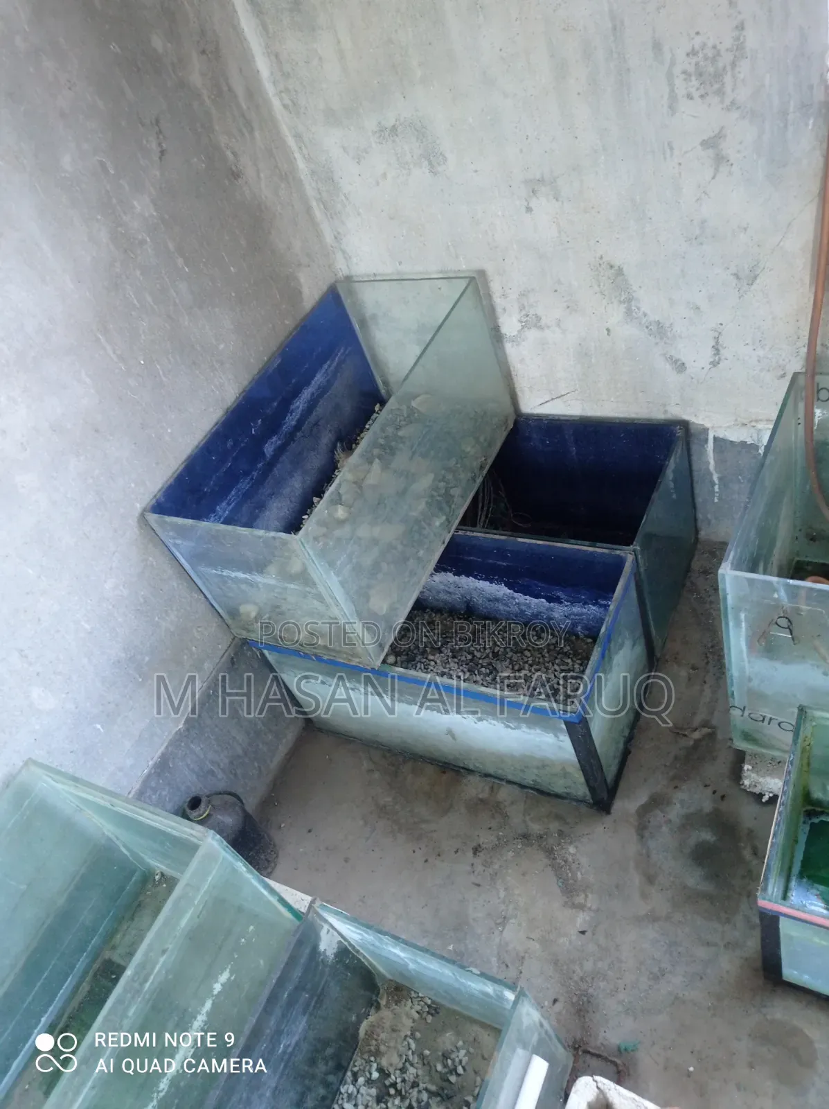 Aquarium Items