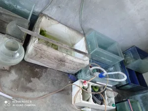 Aquarium Items