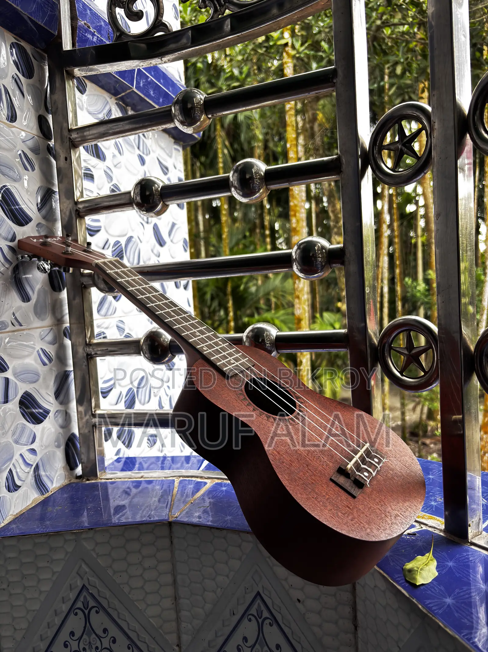 Ukulele (K21)