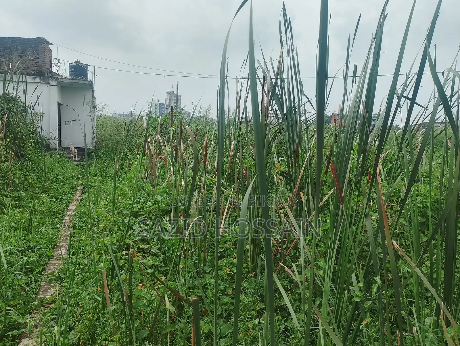 ৫ শতক জমি বিক্রয় করা হবে !