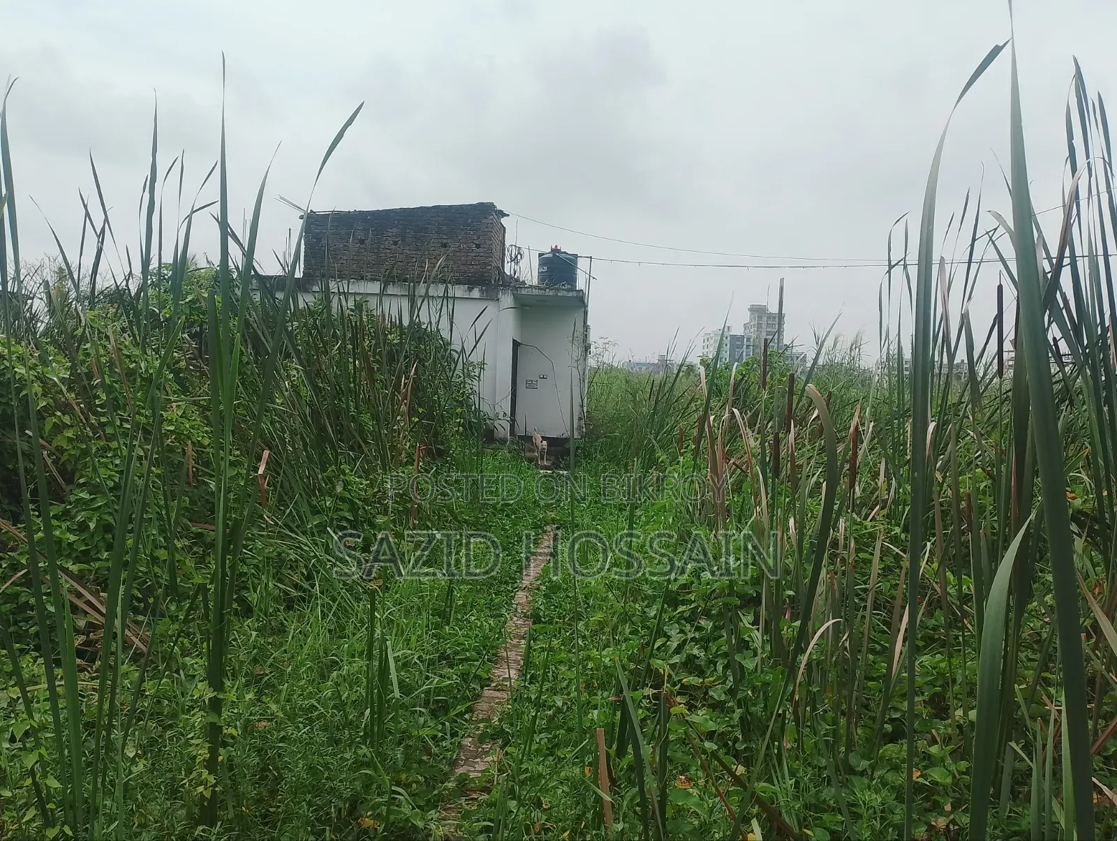 ৫ শতক জমি বিক্রয় করা হবে !