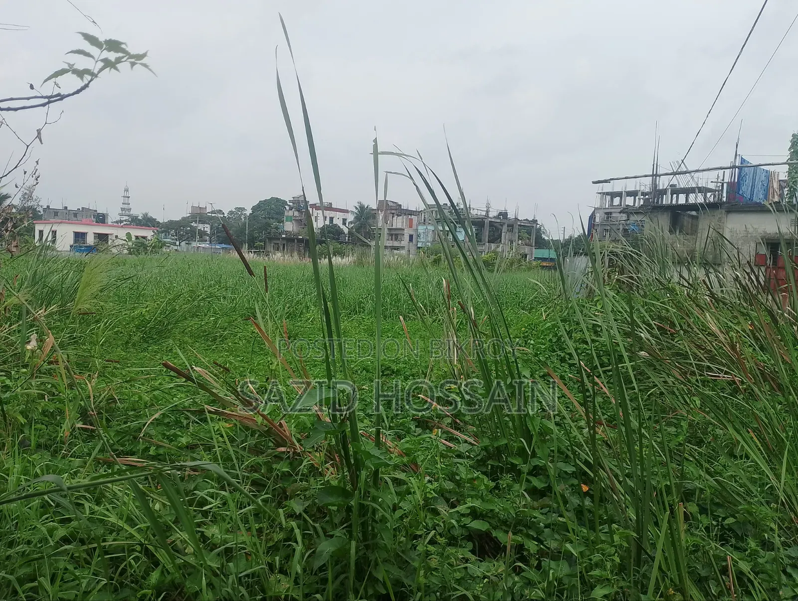 ৫ শতক জমি বিক্রয় করা হবে !