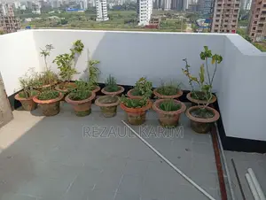 ফুল গাছের মাটির টপ বিক্রি করা হবে