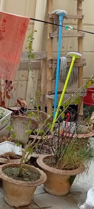 ফুল গাছের মাটির টপ বিক্রি করা হবে