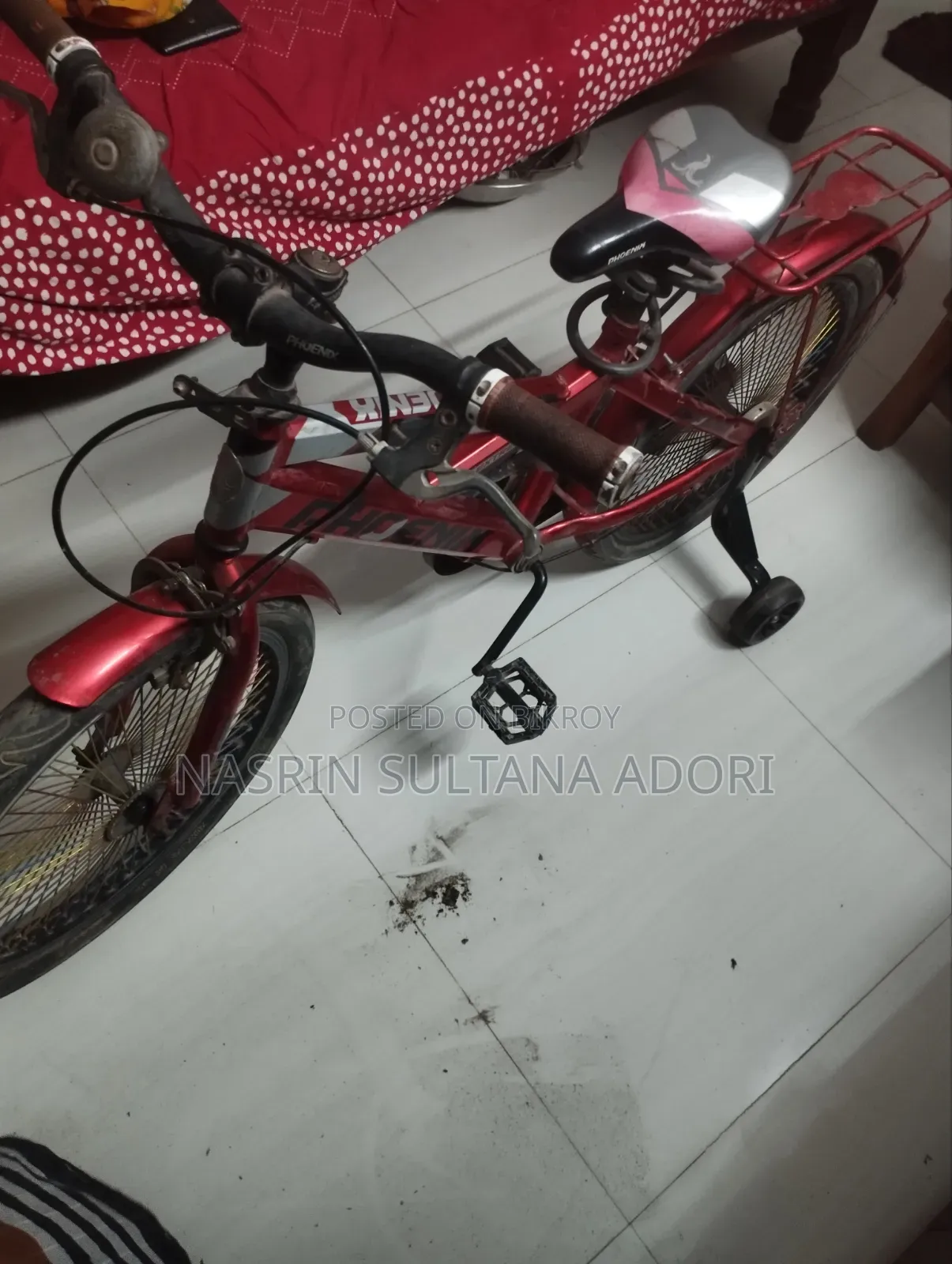 Phoenix Bicycle for Kids
