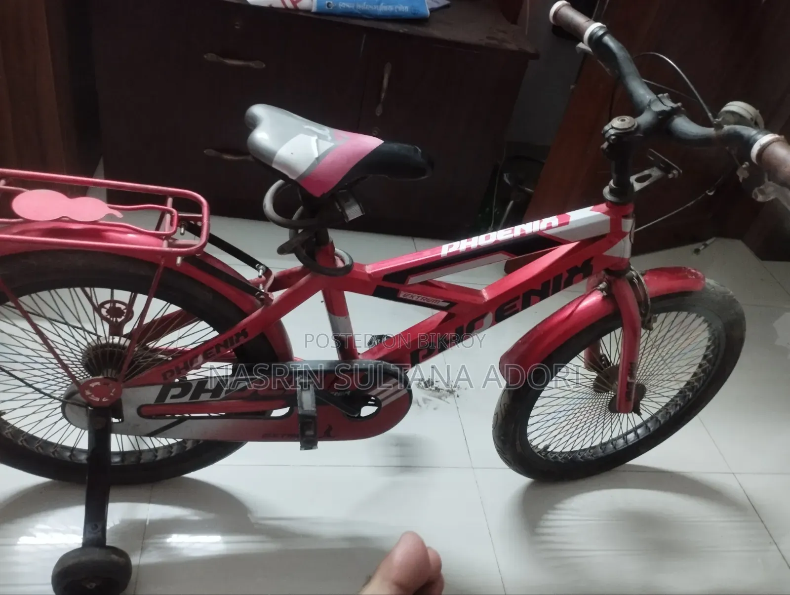 Phoenix Bicycle for Kids