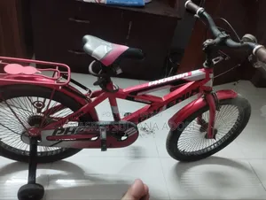 Phoenix Bicycle for Kids