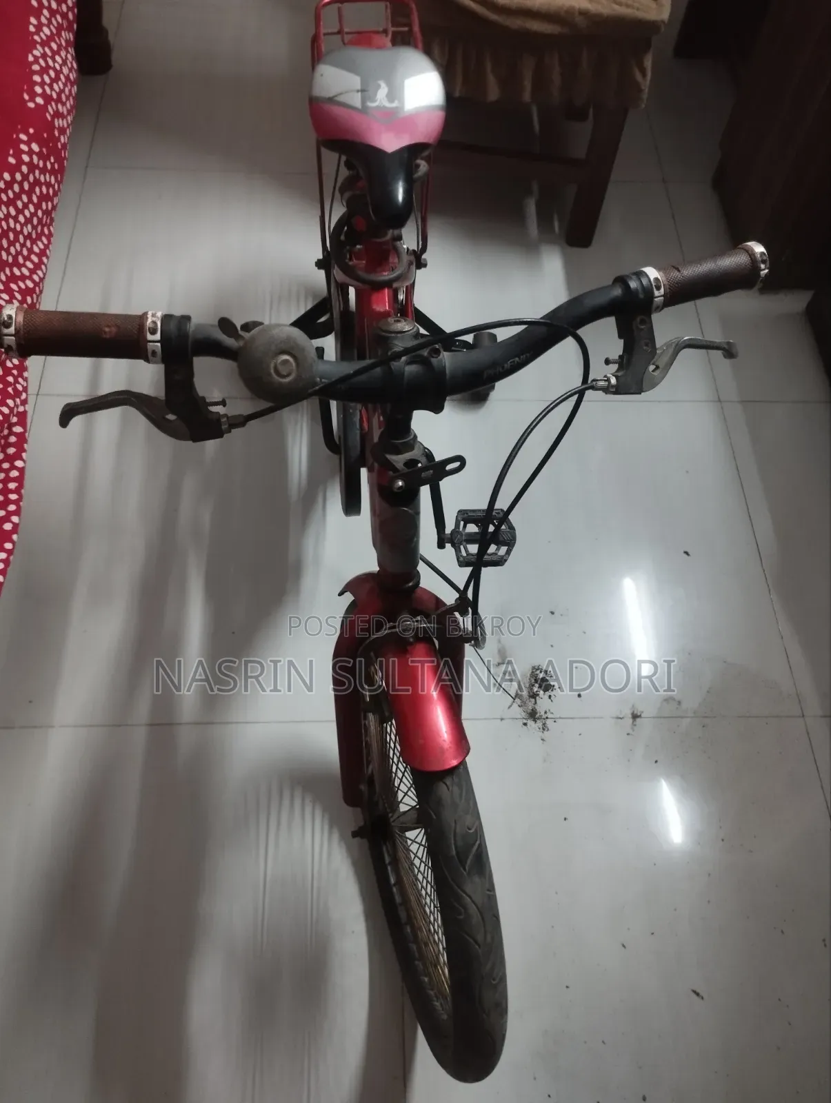 Phoenix Bicycle for Kids