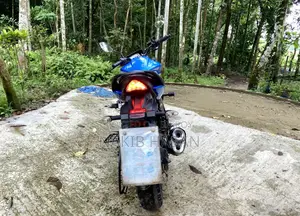 সুজুকি জিক্সার ২০২৪ নীল