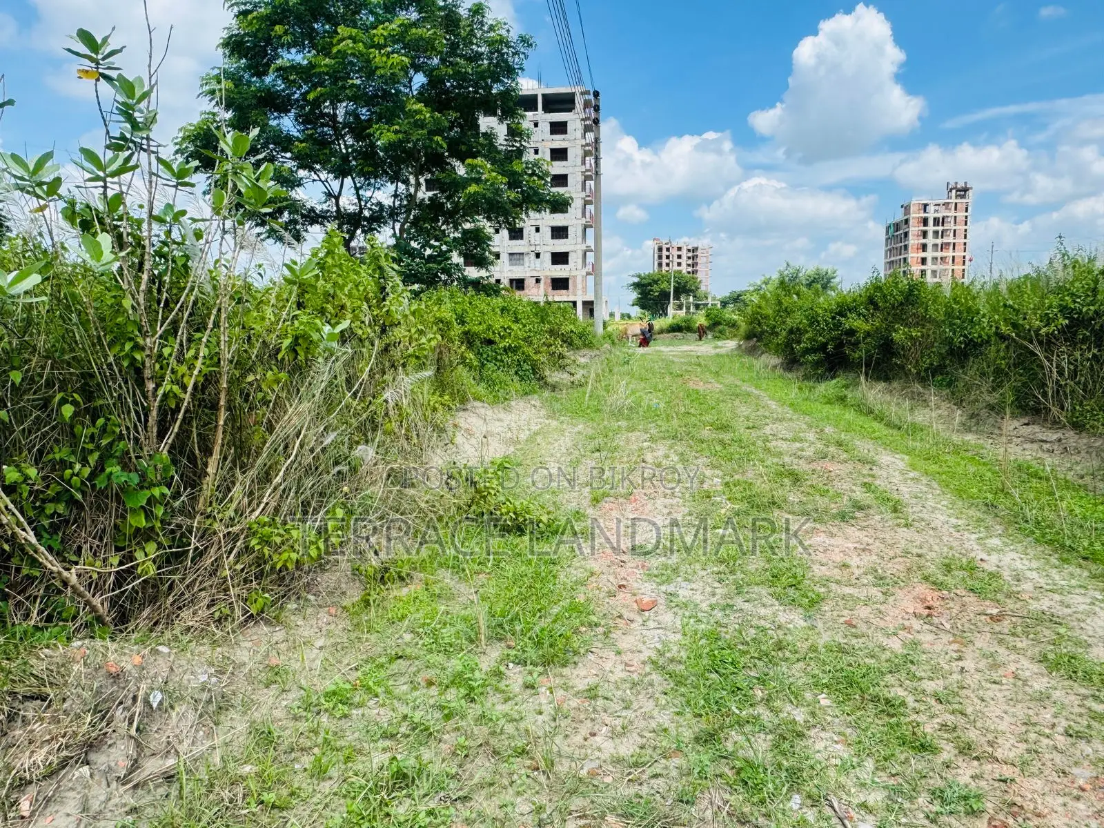 এন ব্লকে চমৎকার দক্ষিণমুখী প্লট