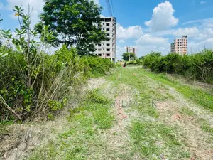Amazing South Facing Plot in N Block