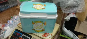 Thermal Ice Box 5L