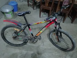 Duranta Micycle Non Gear Sell Post (Used)
