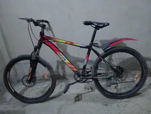 Duranta Micycle Non Gear Sell Post (Used)