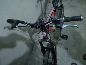 Duranta Micycle Non Gear Sell Post (Used)