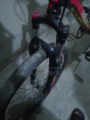 Duranta Micycle Non Gear Sell Post (Used)