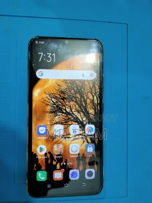 ভিভো ওয়াই১৭ ২৫৬ জিবি ব্লু
