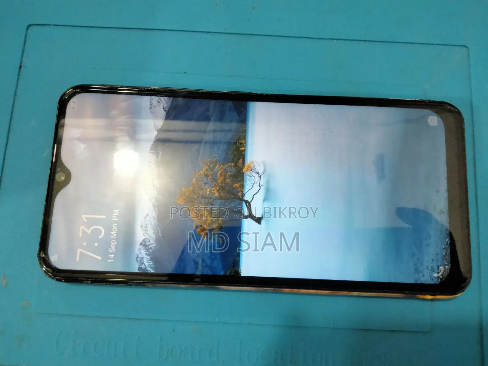 Vivo Y17 256 GB Blue
