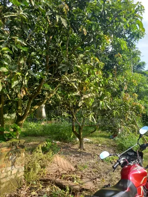 ২.৫ কাঠা প্লট বিক্রয় হইবে।