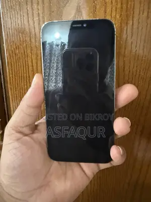 অ্যাপল আইফোন ১২ প্রো ২৫৬ জিবি ধূসর
