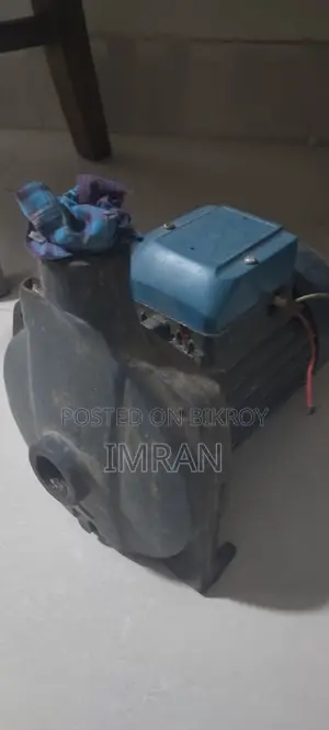 Pedrollo Water Pump