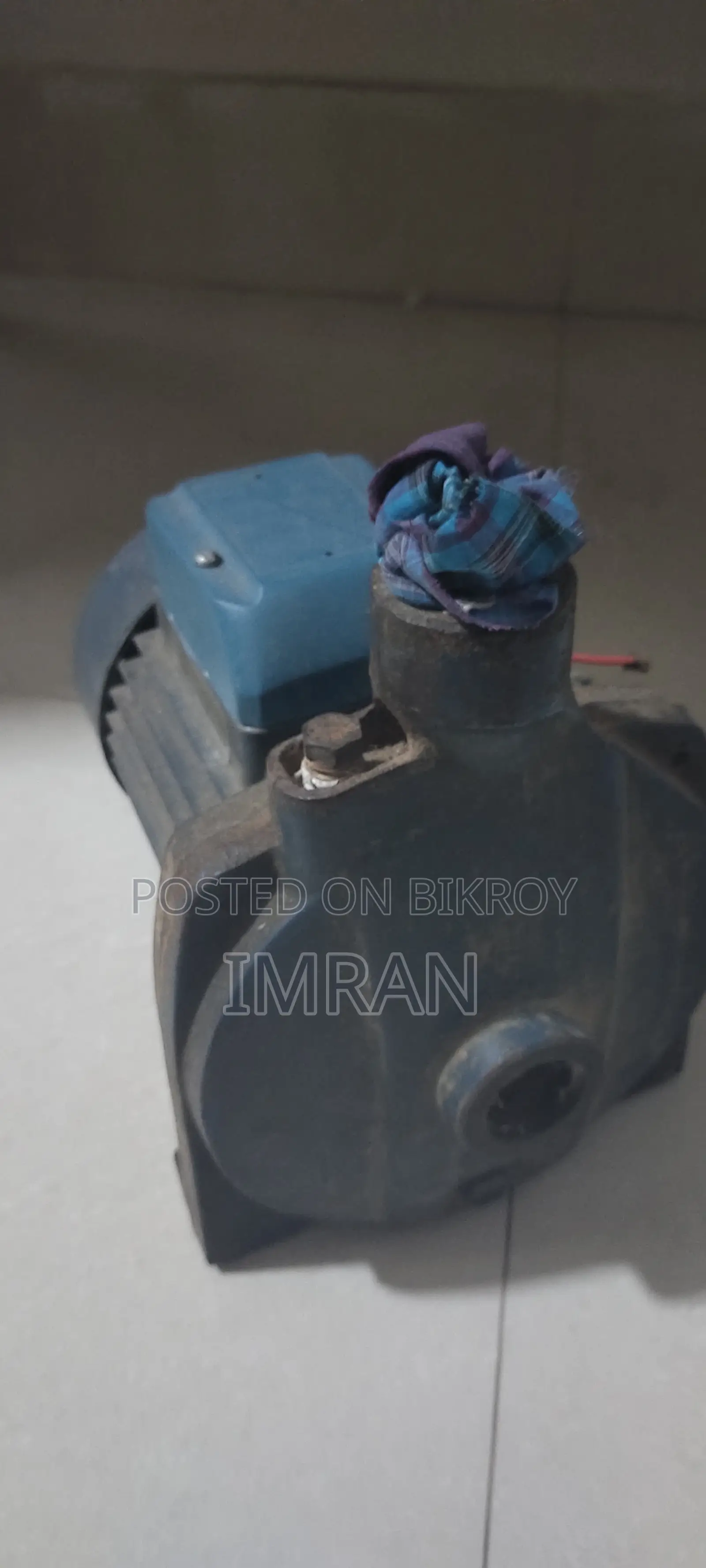 Pedrollo Water Pump