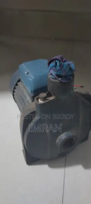 Pedrollo Water Pump