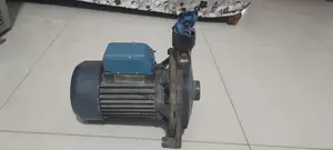 Pedrollo Water Pump