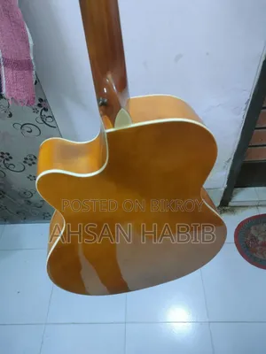 Acoustic Guitar